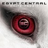 Egypt Central, White Rabbit
