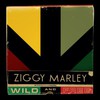 Ziggy Marley, Wild And Free