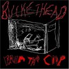 Buckethead, From the Coop