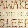 Ben Lee, Awake Is the New Sleep