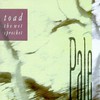 Toad the Wet Sprocket, Pale