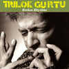 Trilok Gurtu, Broken Rhythms