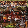 Yeah Yeah Yeahs, Fever to Tell