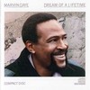 Marvin Gaye, Dream of a Lifetime