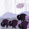 *shels, Plains of the Purple Buffalo