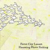 Forest City Lovers, Haunting Moon Sinking