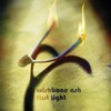 Wishbone Ash, First Light