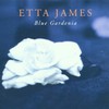 Etta James, Blue Gardenia
