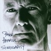 Peter Hammill, Singularity