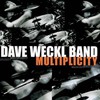 Dave Weckl Band, Multiplicity