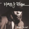 Mary J. Blige, What's the 411?