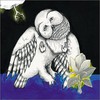 Songs: Ohia, The Magnolia Electric Co.