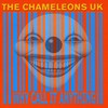 The Chameleons, Why Call It Anything?