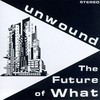 Unwound, The Future of What