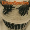Urban Species, Listen