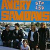 Angry Samoans, STP Not LSD