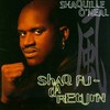 Shaquille O'Neal, Shaq Fu: Da Return