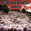 Grotus, Mass