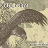 Black Cobra, Feather and Stone