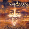 Shaman, Ritual