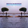 Bruce Dickinson, Skunkworks