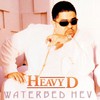 Heavy D, Waterbed Hev