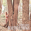 Anthony Green, Beautiful Things