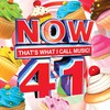 Various Artists, Now 41: That's What I Call Music!