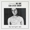 The Twilight Sad, No One Can Ever Know