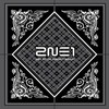 2NE1, 2NE1 1st Live Concert NOLZA!