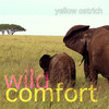 Yellow Ostrich, Wild Comfort