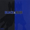 Backstreet Boys, Black & Blue