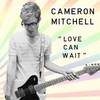 Cameron Mitchell, Love Can Wait