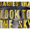 James Iha, Look To The Sky