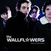 The Wallflowers, Red Letter Days