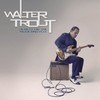 Walter Trout, Blues for the Modern Daze