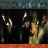 China Crisis, Diary Of A Hollow Horse