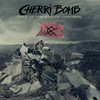 Cherri Bomb, This Is The End Of Control