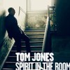 Tom Jones, Spirit In The Room