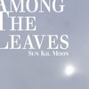 Sun Kil Moon, Among The Leaves