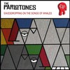 The Parlotones, Eavesdropping on the Songs of Whales