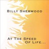 Billy Sherwood, At the Speed of Life...