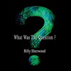 Billy Sherwood, What Was The Question?
