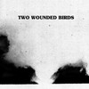 Two Wounded Birds, Two Wounded Birds