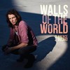 Clarence Bucaro, Walls of the World