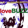 The Hummingbirds, loveBUZZ