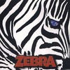 Zebra, Zebra IV