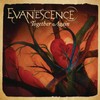 Evanescence, Together Again