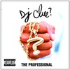DJ Clue?, The Professional