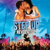 Various Artists, Step Up Revolution